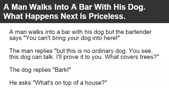 A Man Walks Into A Bar With His Dog.