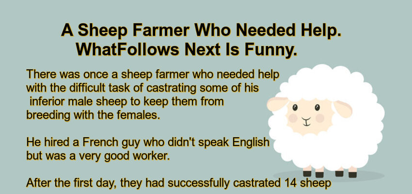 A Sheep Farmer Who Needed Help.