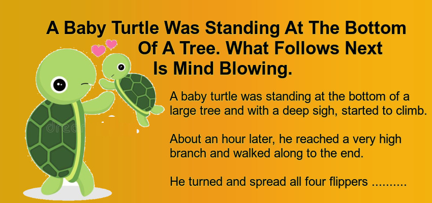 A Baby Turtle Was Standing At The Bottom Of A Tree.