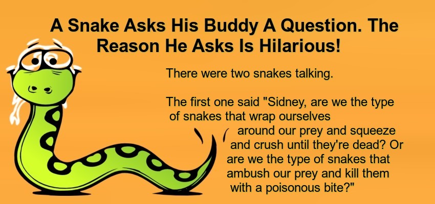 A Snake Asks His Buddy A Question.