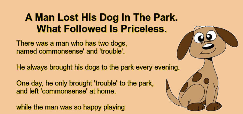 A Man Lost His Dog In The Park.