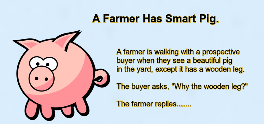 A Farmer Has Smart Pig.