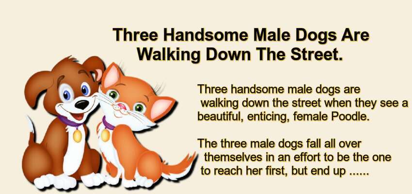 Three Handsome Male Dogs Are Walking Down The Street.