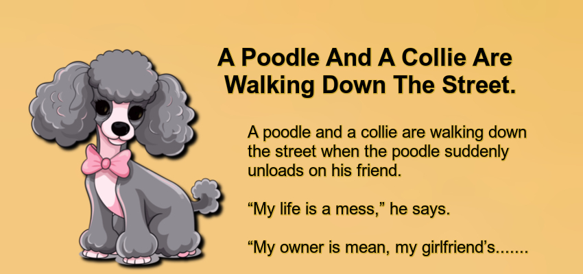 A Poodle And A Collie Are Walking Down The Street.