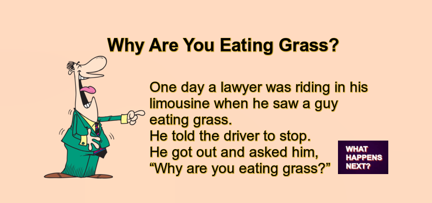 Image showcasing Why Are You Eating Grass?